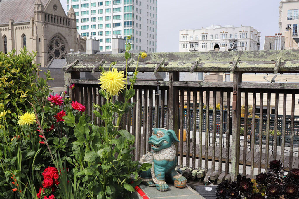 Deck with flowers and view of San Francisco