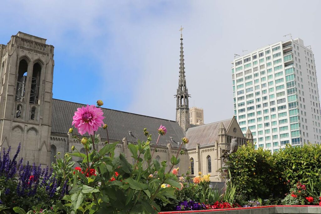 Mark Hopkins Condominiums rooftop view of Grace Cathedral